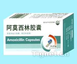 阿莫西林胶囊全面招商与产品信息汇总