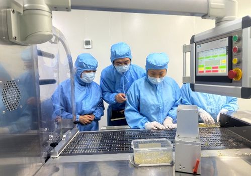 山东省药监局第二分局开展儿童药品生产专项检查，筑牢用药安全防线