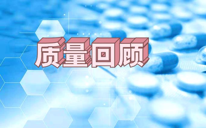 药品生产行业年度产品质量回顾模板分享